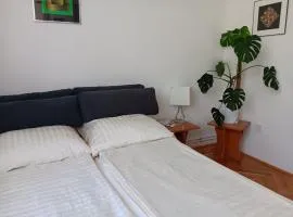 Digitális Detox Apartman