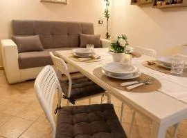 Apartment between Pisa Lucca and Florence