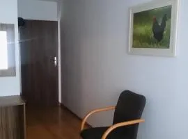 Pod Zachrypniętym Kogutem