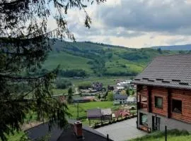 Loft Bucovina