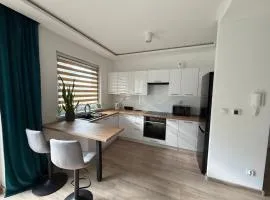 Apartament 50 m2 Rosłońskiego