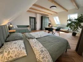 Attic room in Slavkov u Brno