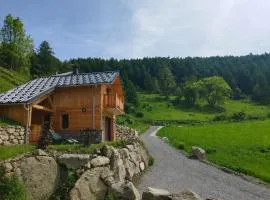 Les 2 Chalets Alpins & Bains Nordiques