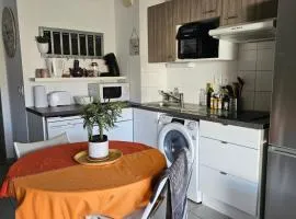 Apartment with terrace and garden in Audenge