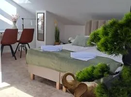 APARTAMENT typu DELUXE na poddaszu z 1 lub 2 łóżkami PARKING