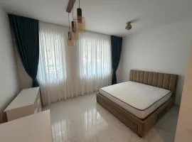 Ayan Studio - Băile Felix