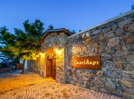 Cinarli Kasri、Gokceada Townのホテル