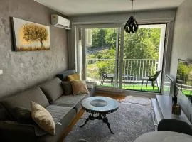 CENTRAL POINT APARTMENT - City centar Zenica-