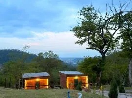 Windy Hills