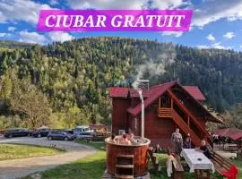 Pensiunea Cabana Viselor ,Apuseni
