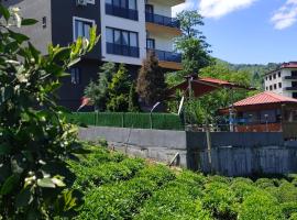Sama house, Hotel in Rize