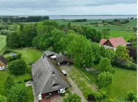 Reetmeer Apartments Spa & Reetdach am Salzhaff
