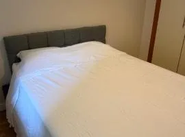 Bright En-Suite Room with Free Parking and bus links