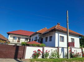 Pensiunea Ileana, hotel a Novaci-Străini