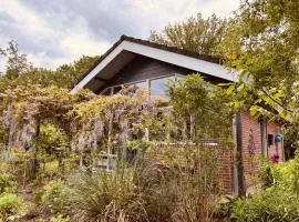 Suzie's Cottage