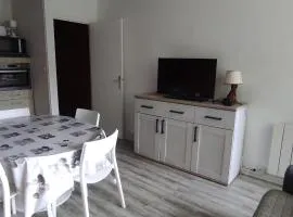 Appartement central à Super Besse, 2 chambres, proche pistes - FR-1-814-11