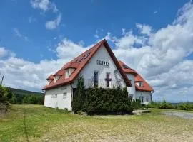 ORLIK House