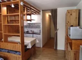 Studio montagnard au cœur de Super Besse avec parking privé - FR-1-814-128