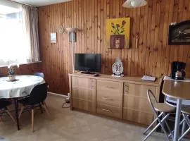 Appartement cosy 1 chambre, au centre de Super Besse - FR-1-814-1
