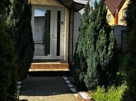 Garden vibe apartament
