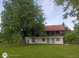 Pensiunea Leon Geoagiu băi