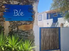 Ble 1BR Vacation Home with Private Terrace