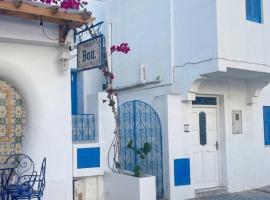 happy home -sidi bou said, hotell sihtkohas Kartaago