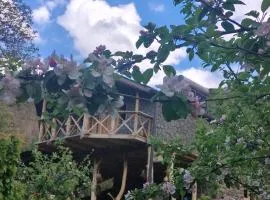 Hors's Home