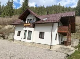 Casa Diaconu