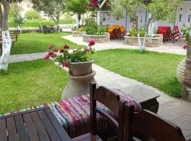 Villa Anna Andros