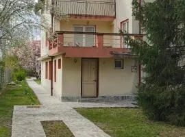 Snagov Magnolia