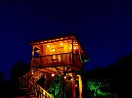 Magic treehouse