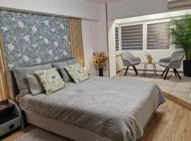 Adina C1 - Deluxe Apartment