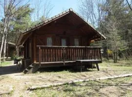 Chalet confortable pour 4 pers. - API-1-52-2722