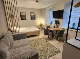 Chill & Ride Apartment - free private parking space