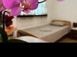 Apartments Olivera