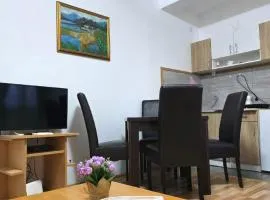 Apartments Olivera