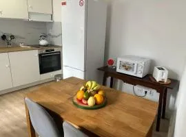 Apartamento Alcagoita