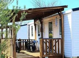 Mobil-home climatisé, animaux admis - 6 pers. - API-1-52-2384