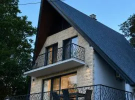 Villa Vasilije
