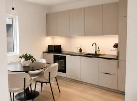 New Modern Two bedroom Apartment