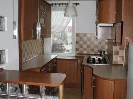 Robotnicza 59 Old Town Apartment