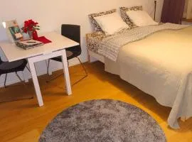Jaakonkatu City Apartment
