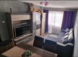 Modern Panoramic View Apartament