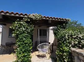 Apartment Dulcis Domus