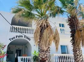 Two Palm Trees 1