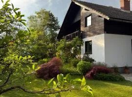 Apartment Ivana B