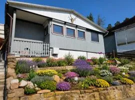 K&K Selketal Lodge