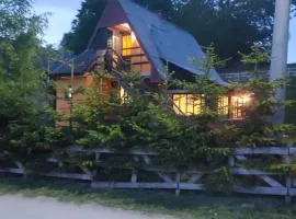 Cozy Cabin