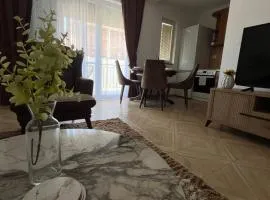 N&N apartment Radanovici